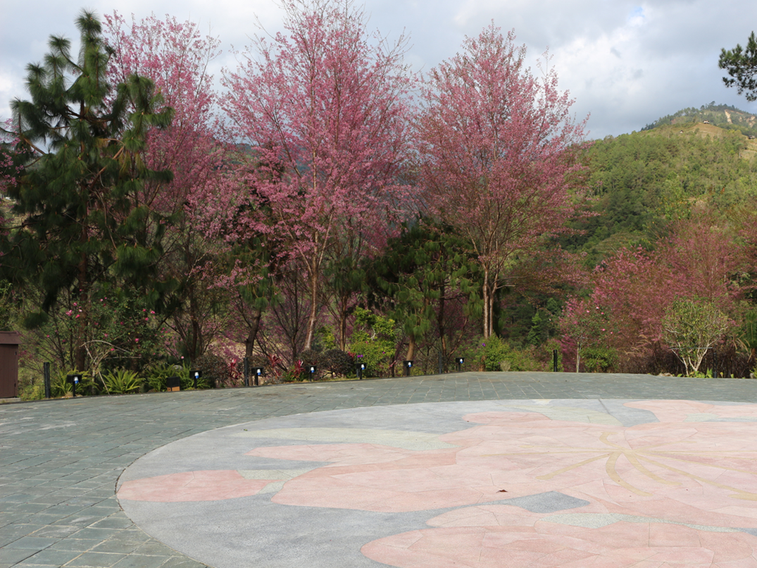 Outdoor Orina Plaza Venue