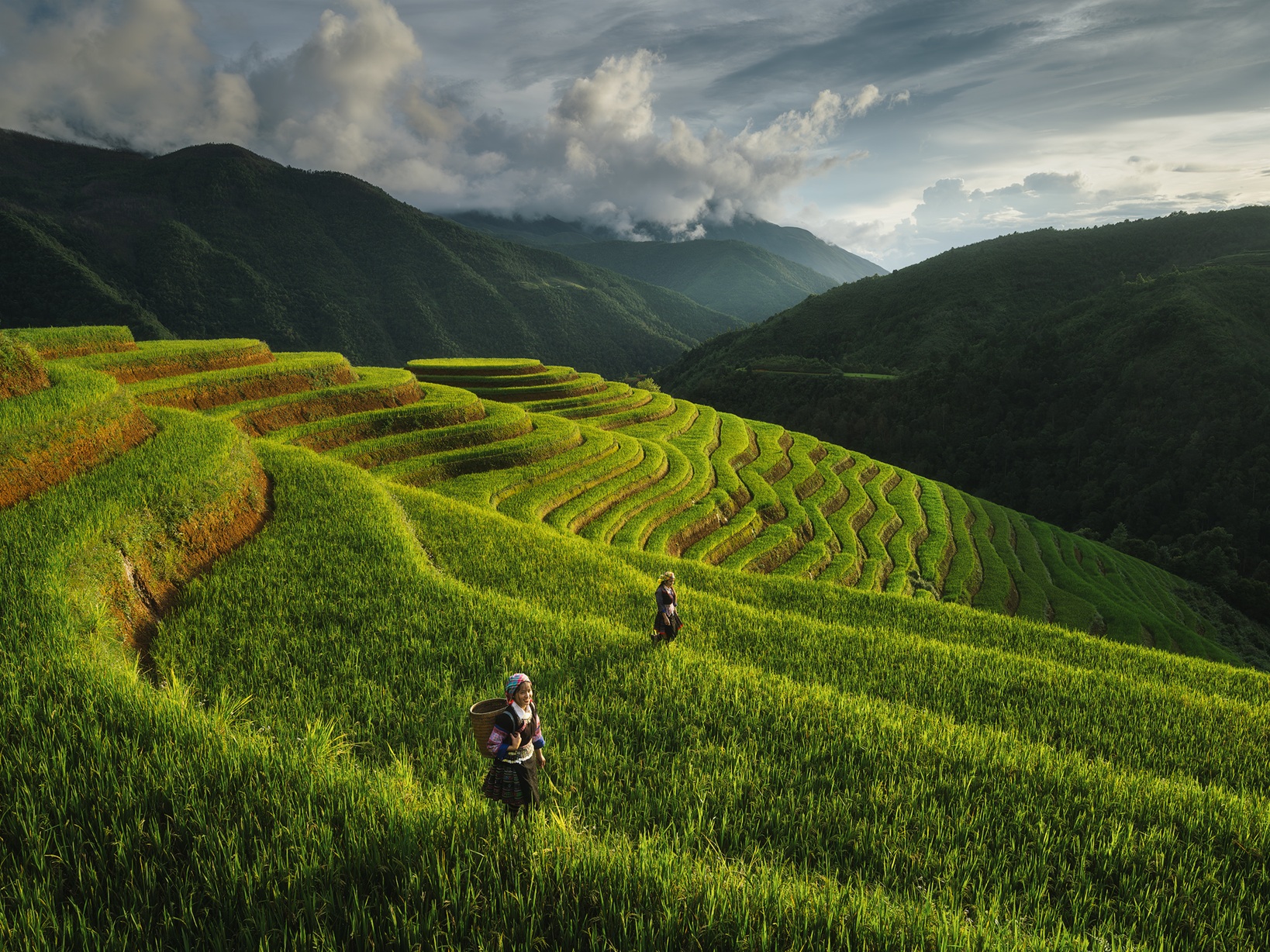  Vietnam For Every Season
