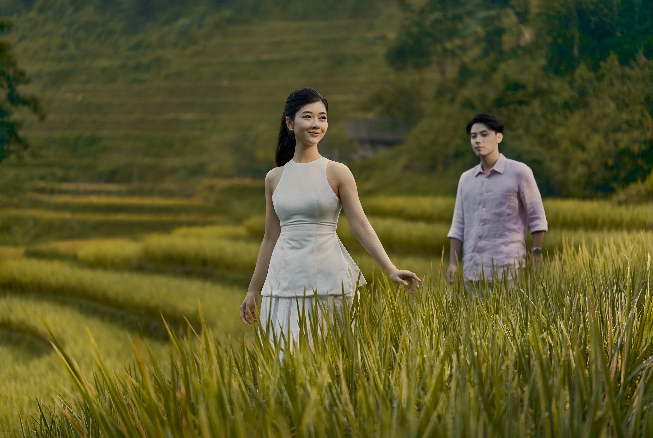 Mu Cang Chai harvest season