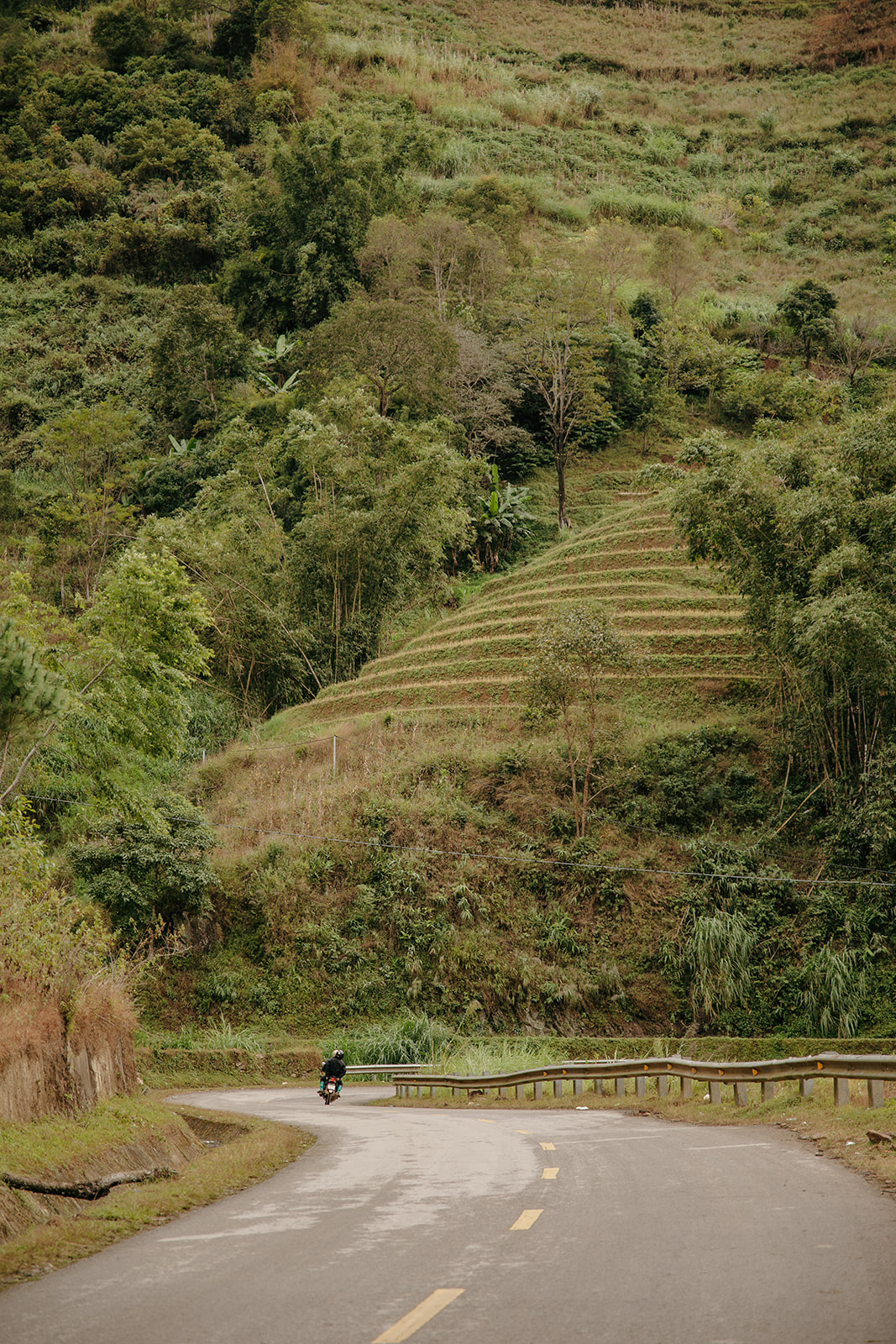 Scenic Electric Mountain Bike Journeys