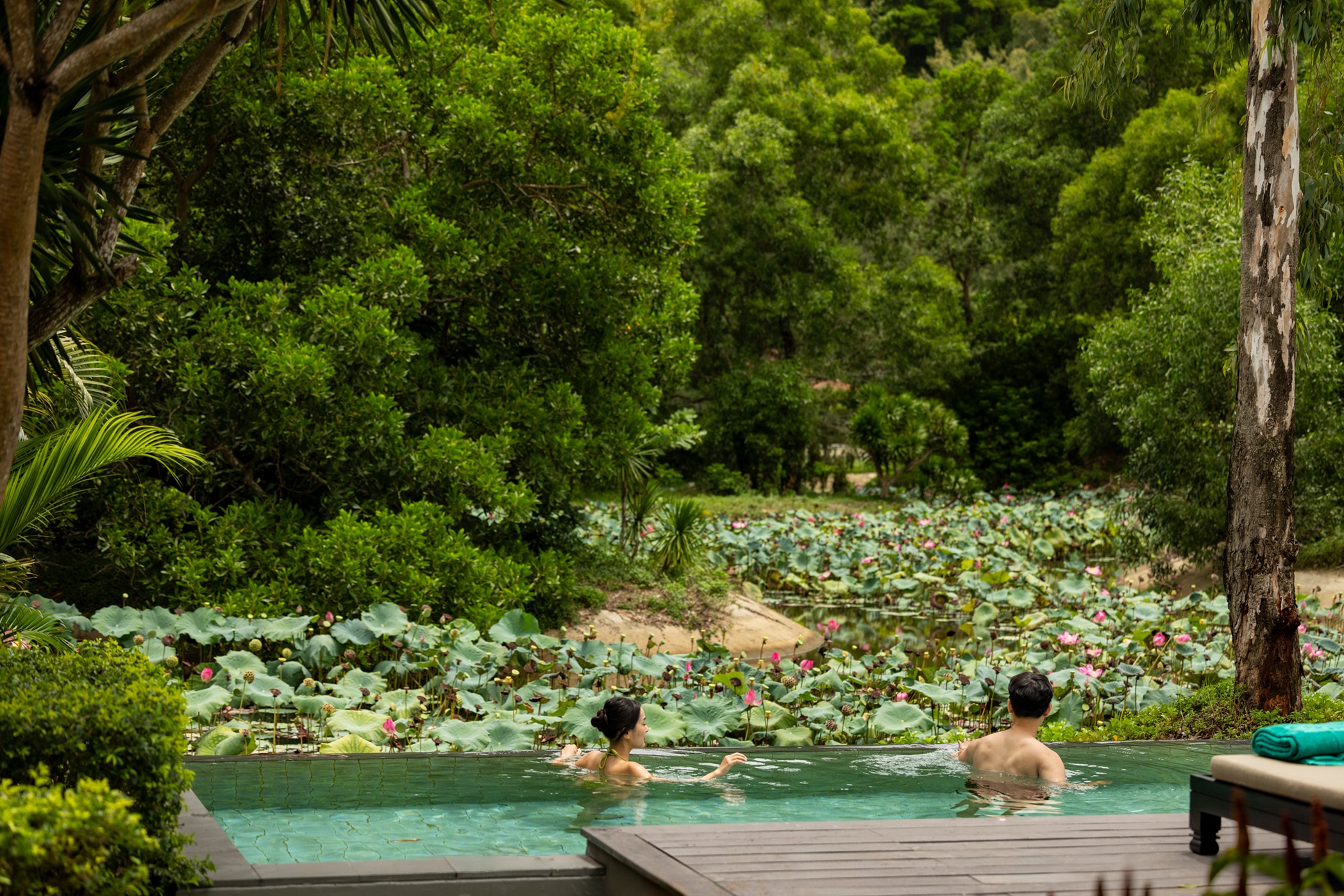 Lotus lagoon