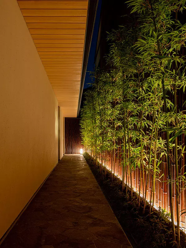 kyoto bamboo walkway