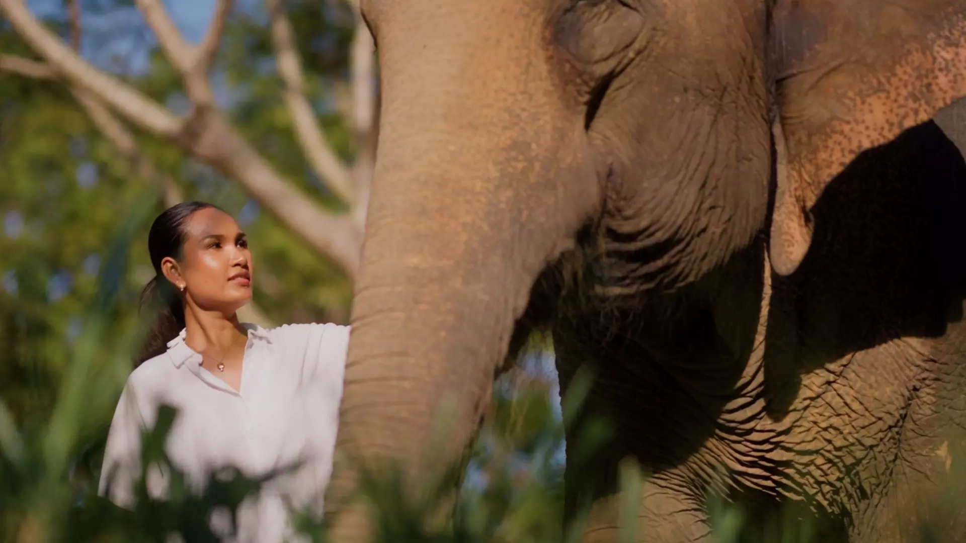Elephant Sanctuary at Garrya Tongsai Bay
