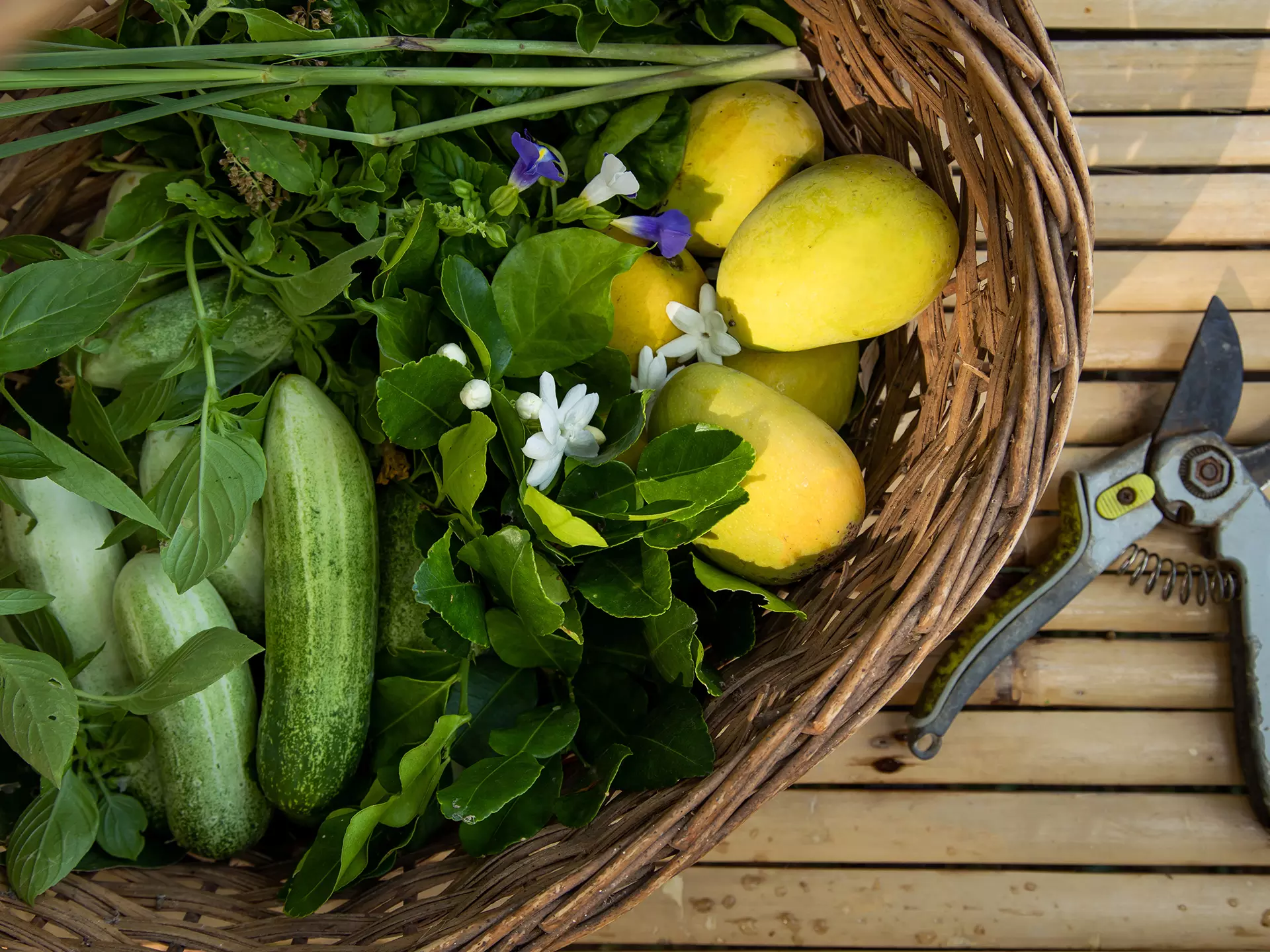 Farm-to-Table Philosophy at Garrya Tongsai Bay Samui