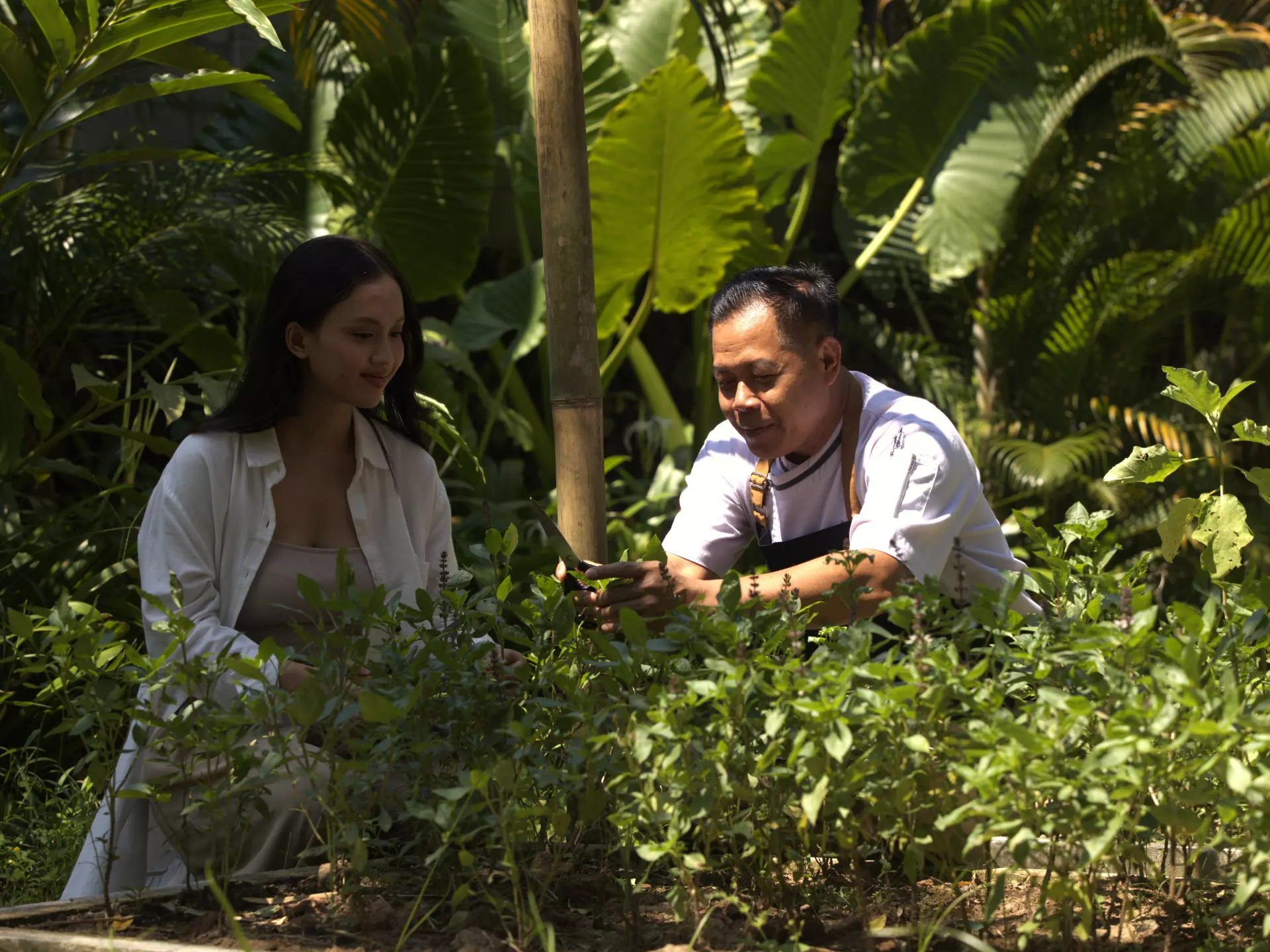 From farm to table with Chef