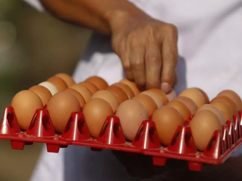 cage-free eggs