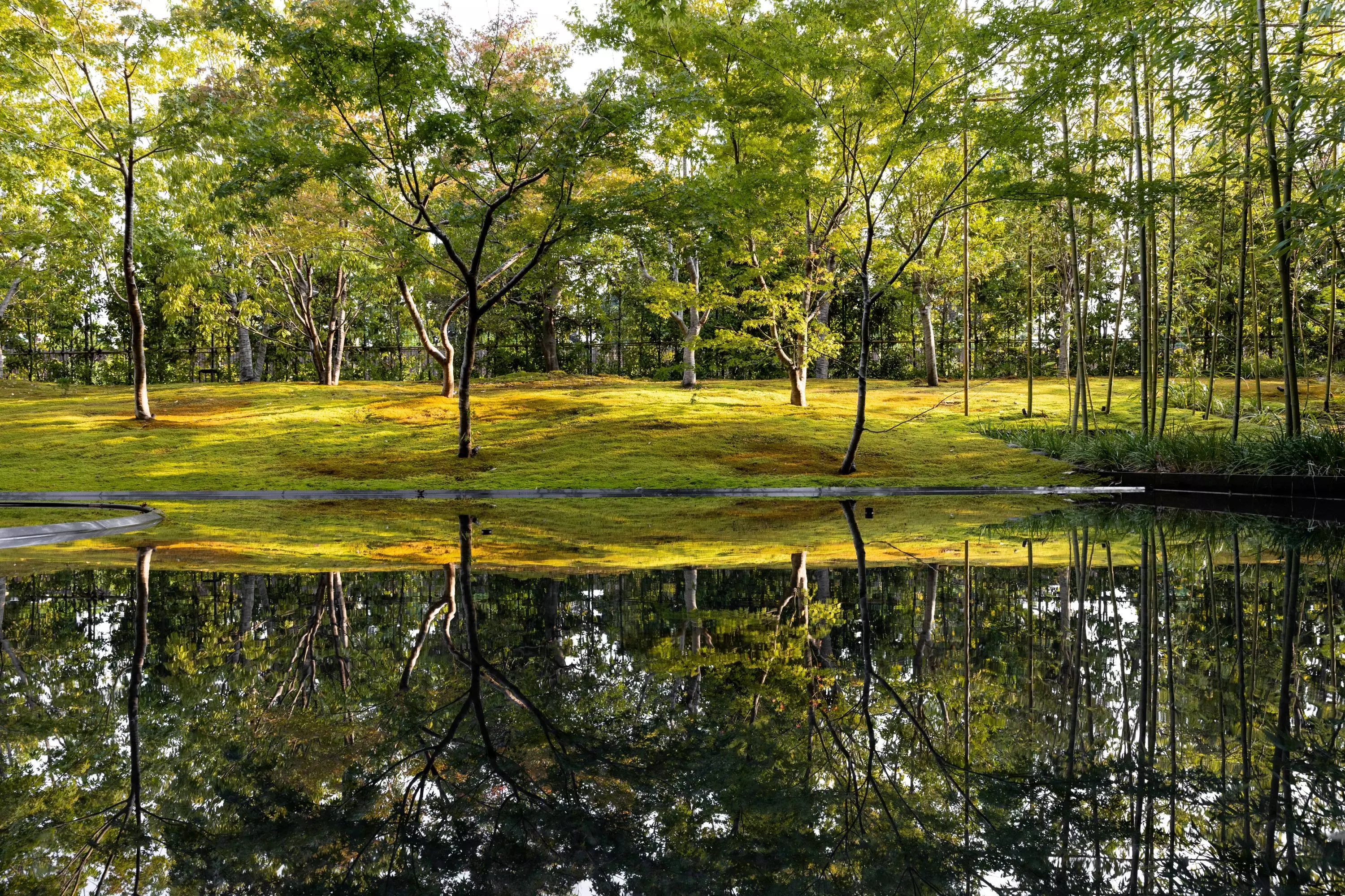 Kyoto Japanese Garden