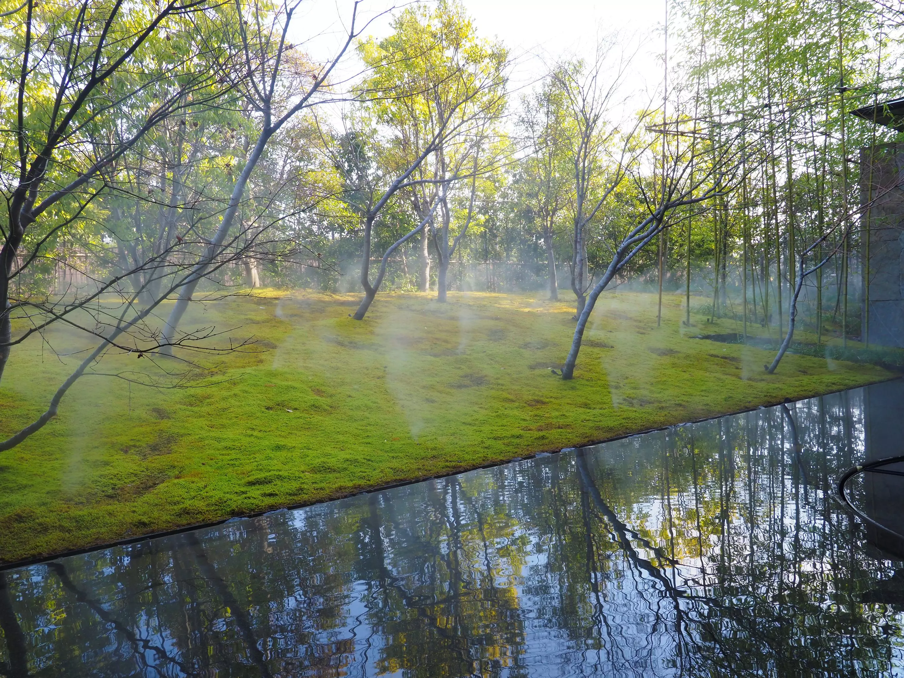 Kyoto Japanese Garden