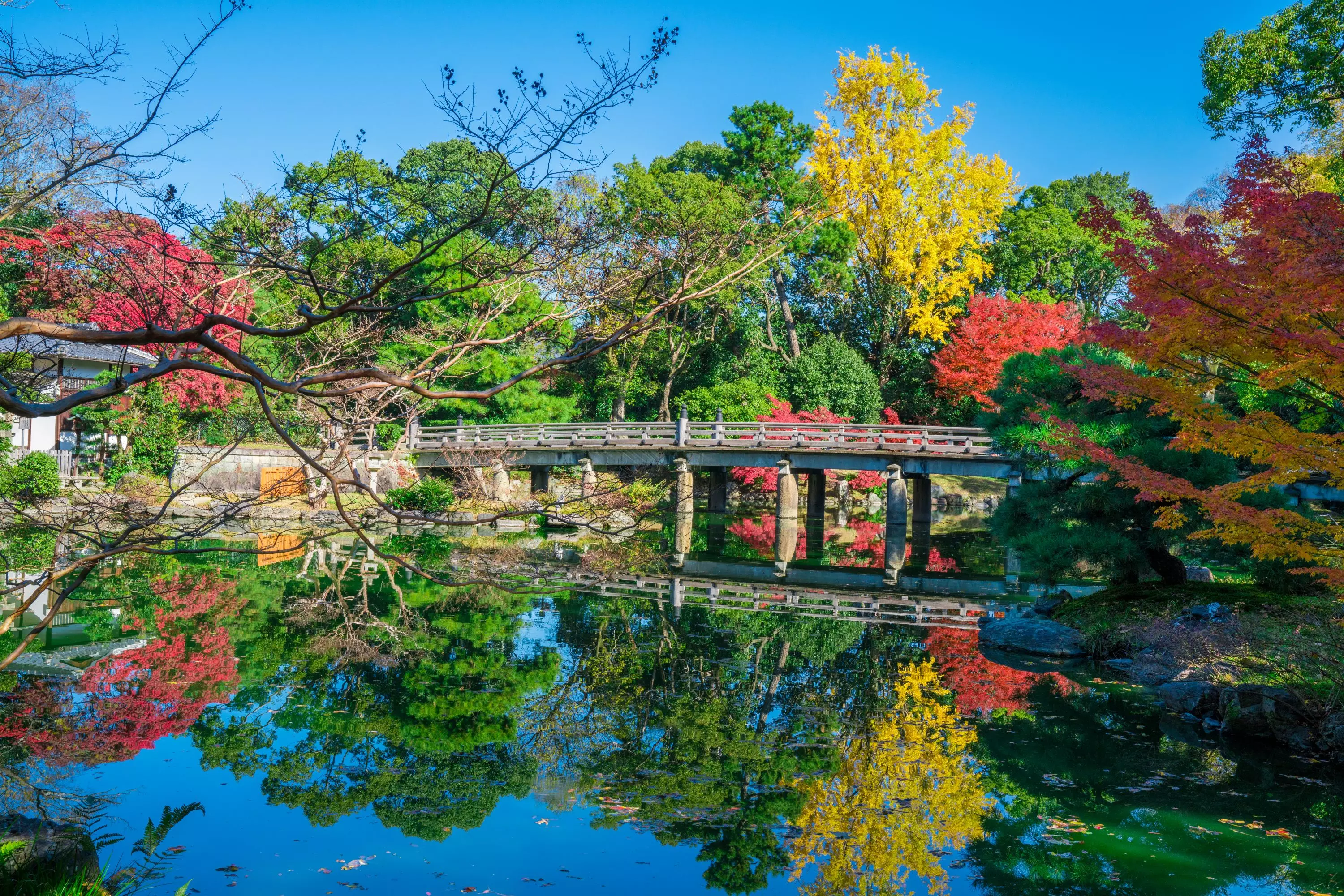 Kyoto Gyoen