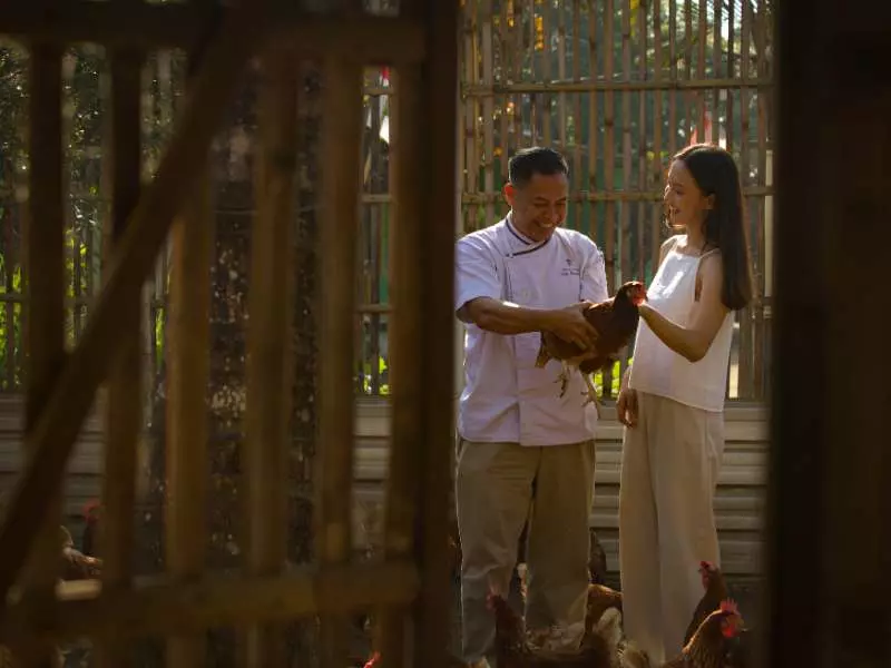 chef edy and a guest are chatting in the cage-free farm