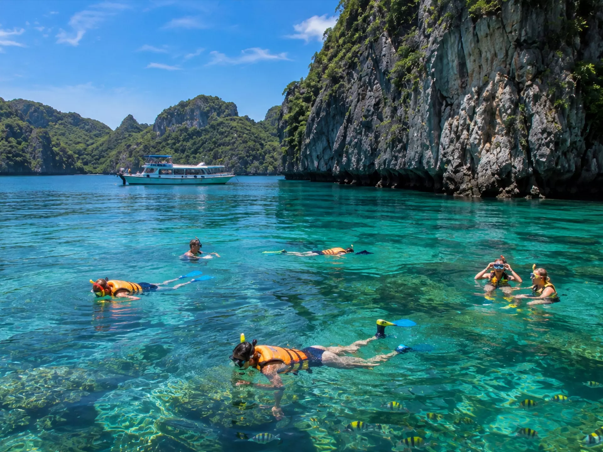 Snorkel Activity in Ang Thong National marine Park.jpg