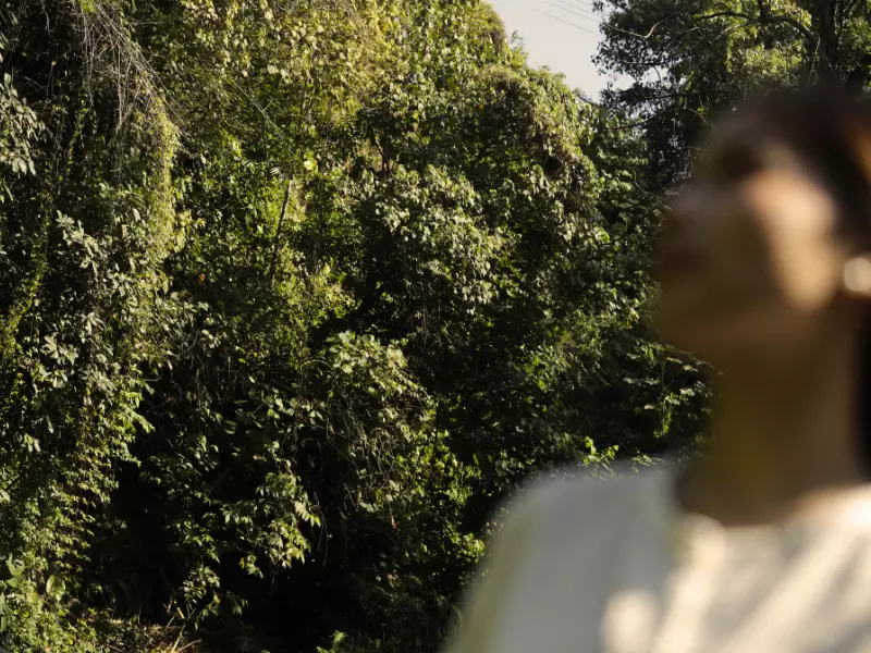 a woman is standing amidst the nature