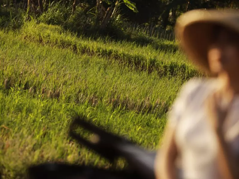 Woman take a picture in front of paddy fields