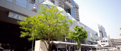 Kyoto Station