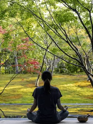 Garrya Kyoto Forest Meditation 