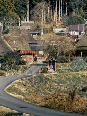 Best Time of Year to Visit Kyoto, Japan