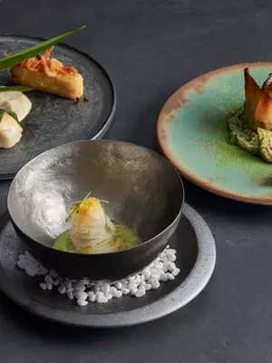 garrya_nijocastle_kyoto