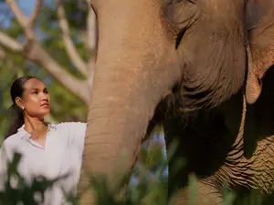 Elephant Sanctuary at Garrya Tongsai Bay