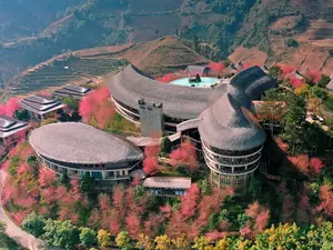 Panoramic view of Garrya Mu Cang Chai resort covered in pink To Day blossoms during spring season.
