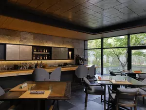 kyoto_singular_tables