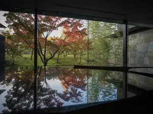 Kyoto Japanese Garden