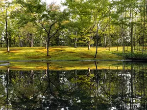 Kyoto Japanese Garden