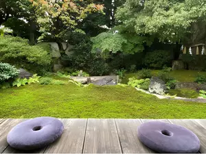 Jijuin Temple Self-Healing Ritual with Sutra Copying and Tea
