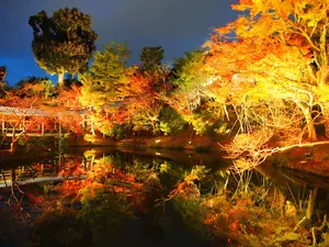 Kodaiji Temple Kyoto