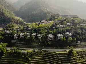 Garrya Mù Cang Chải