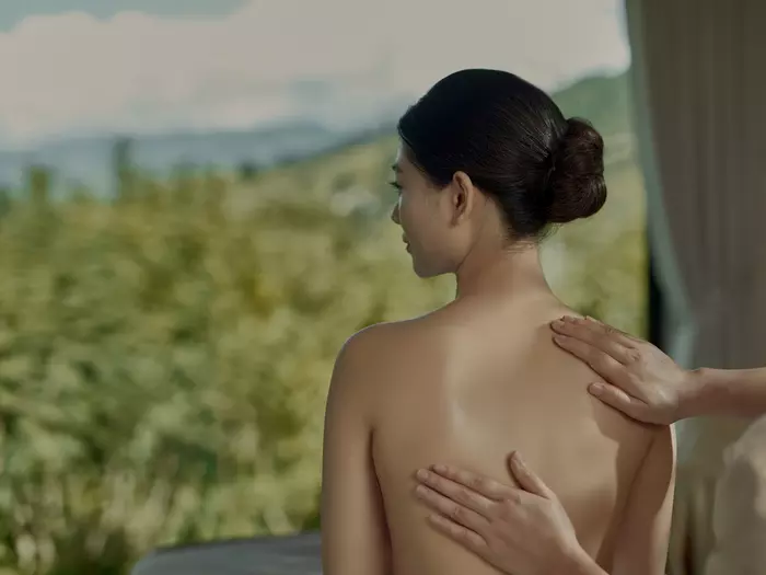 Wellness Transfer Package